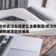 曾光分析武汉出现霍乱主要原因/武汉为什么会大面积爆发冠状病毒
