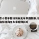 【北京小客车指标将向无车家庭倾斜,北京小客车指标将向无车家庭倾斜吗】