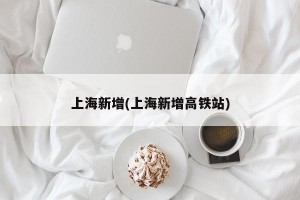 上海新增(上海新增高铁站)