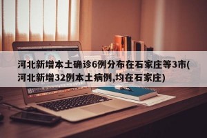 河北新增本土确诊6例分布在石家庄等3市(河北新增32例本土病例,均在石家庄)
