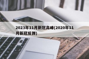 2023年11月新冠高峰(2020年11月新冠反弹)