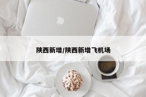 陕西新增/陕西新增飞机场